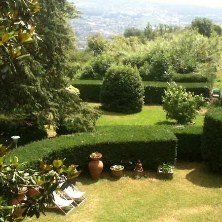 Masini-luccetti * Pietrasanta