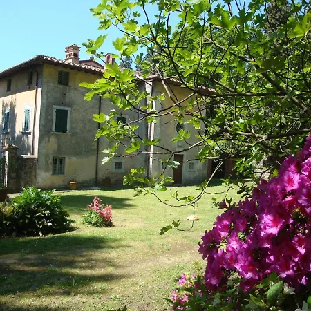 Masini-luccetti * Pietrasanta