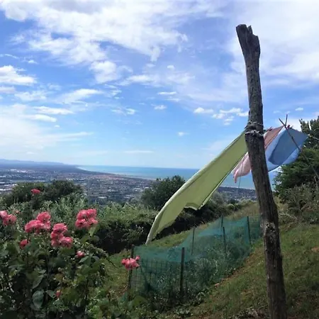 Masini-luccetti Bed & Breakfast